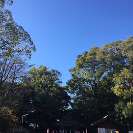e0305824_171317.jpg