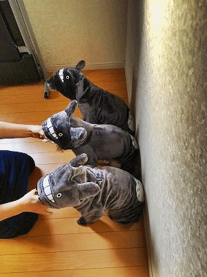 f0326925_22512917.gif