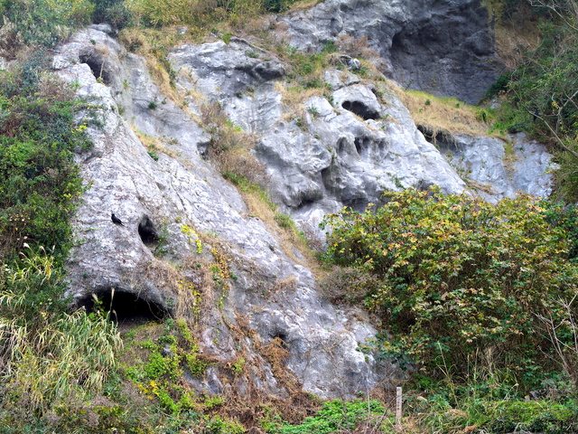 続・江の島を歩く_b0191026_1872441.jpg