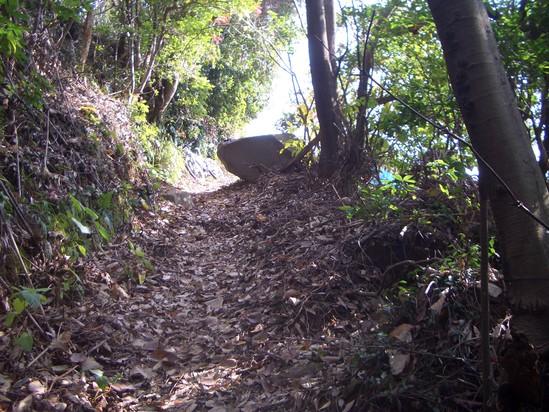 b0222530_1716363.jpg