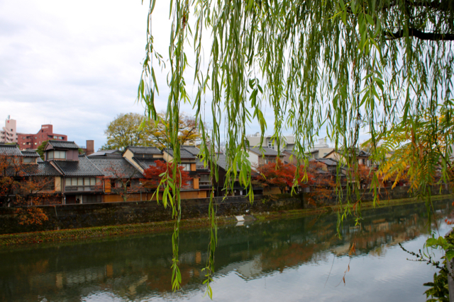 【主計町茶屋街〜ひがし茶屋街】金沢旅行 - 12 -_f0348831_21283365.jpg