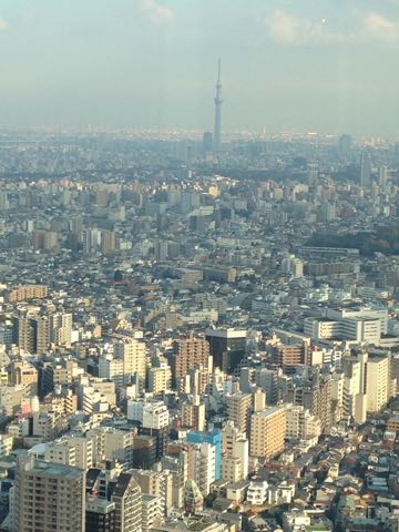 a0157935_8302186.jpg