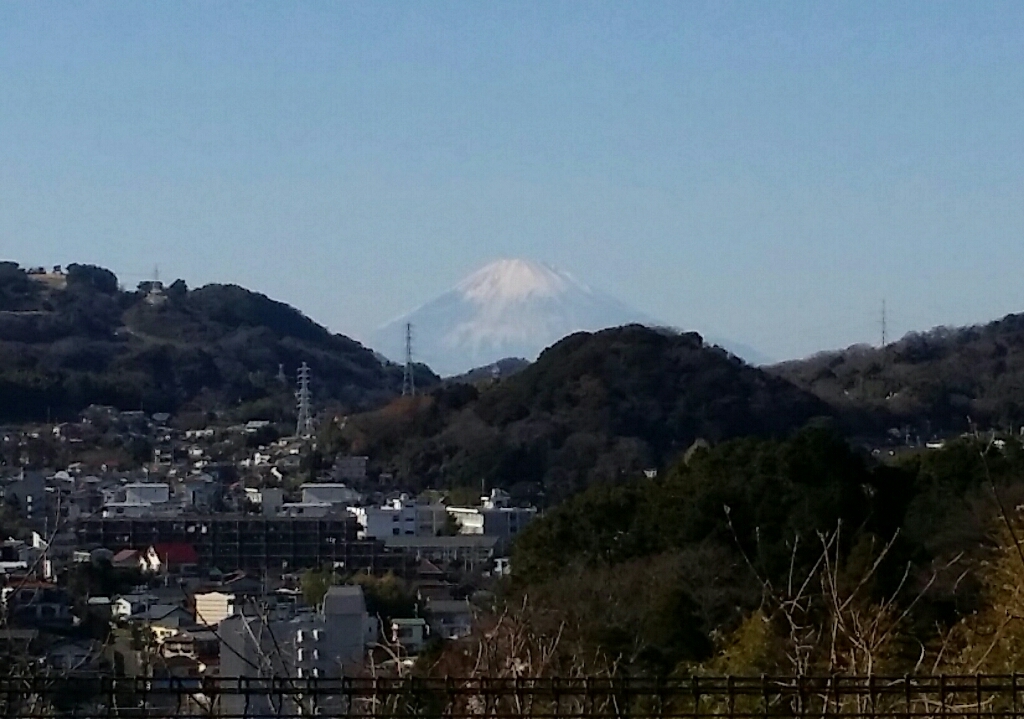 a0013236_11580326.jpg