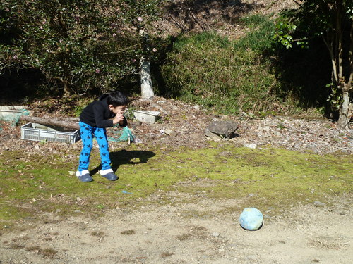 b0247739_840596.jpg
