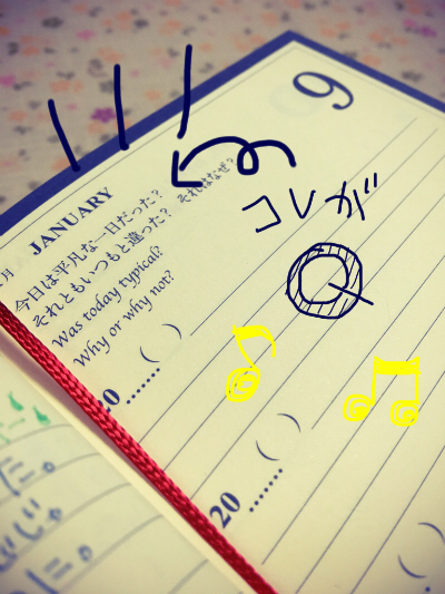 Q A Diary my 5 Years エコ ブログ Q A Diary my 5 Years エコ ブログ