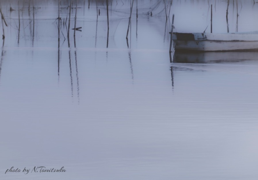 Milky water 〜 印旛沼朝景 am 7:35_c0335943_22033830.jpg