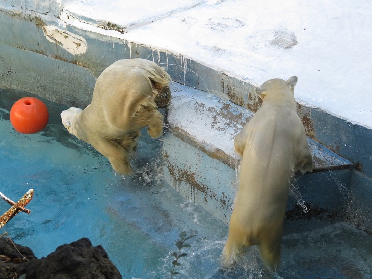f0002743_14185928.jpg