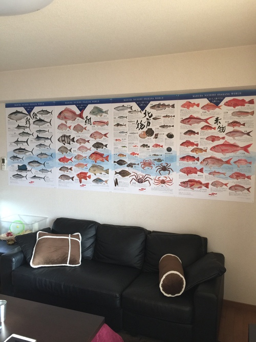 マルハ お魚ポスター⁉️ : 漁師です・・・