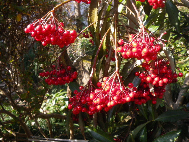f0042665_17005055.jpg