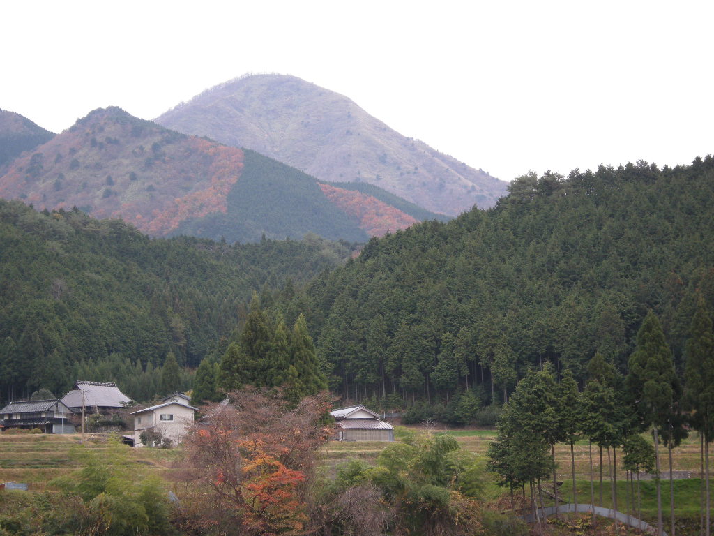No426 岡山・角ケ仙は階段ケ仙 : みちくさおじさん山を歩く
