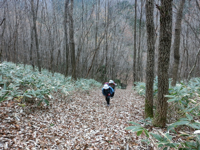 No426　岡山・角ケ仙は階段ケ仙_b0185573_1121675.jpg