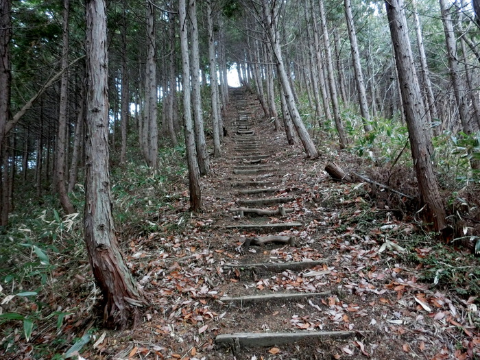 No426　岡山・角ケ仙は階段ケ仙_b0185573_11314170.jpg