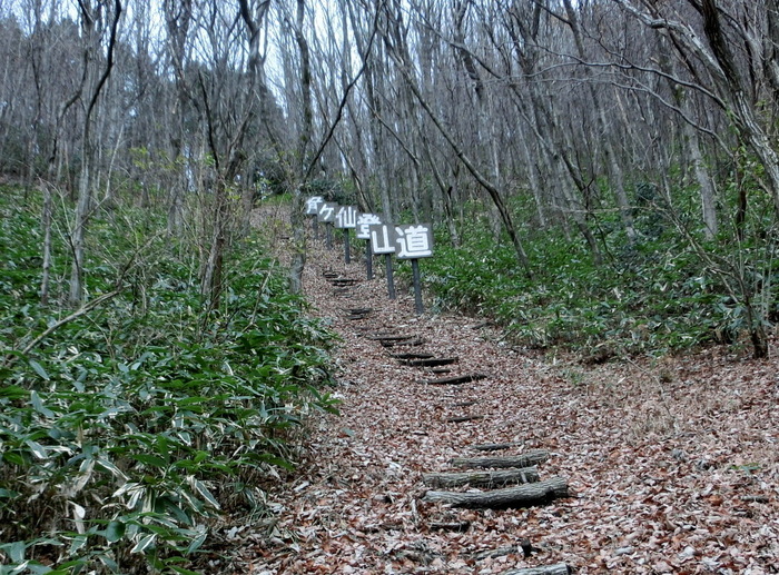 No426　岡山・角ケ仙は階段ケ仙_b0185573_1194418.jpg