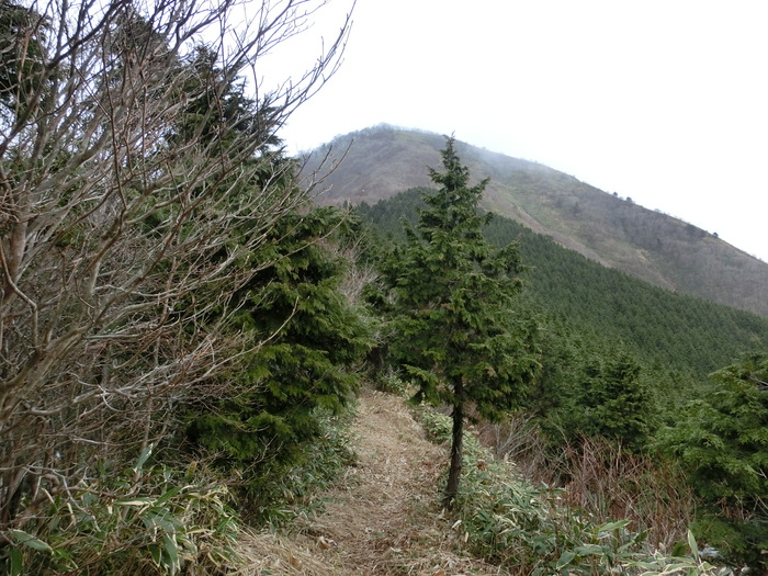 b0185573_21101545.jpg