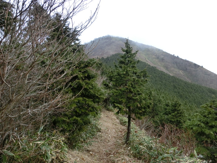 No426　岡山・角ケ仙は階段ケ仙_b0185573_21101545.jpg