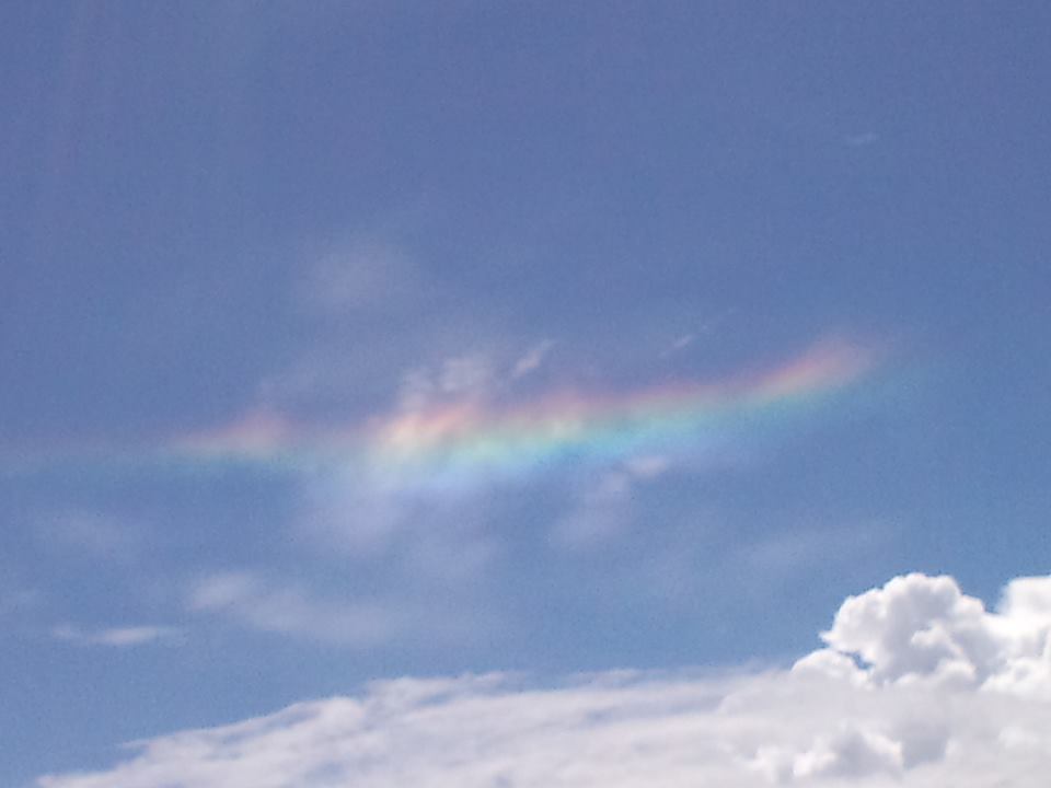 d0147774_1258865.jpg