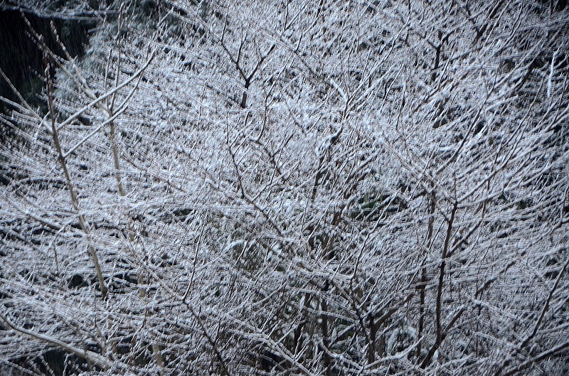 雪が降り出しました～_f0121379_1821511.jpg