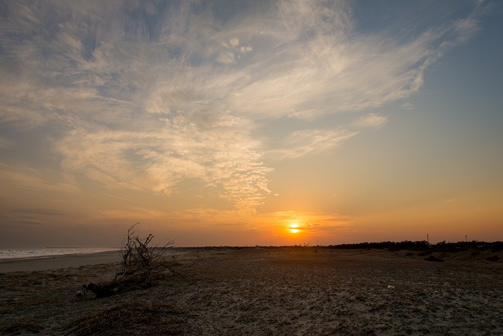 いつもの木と夕日。_c0226687_18301656.jpg