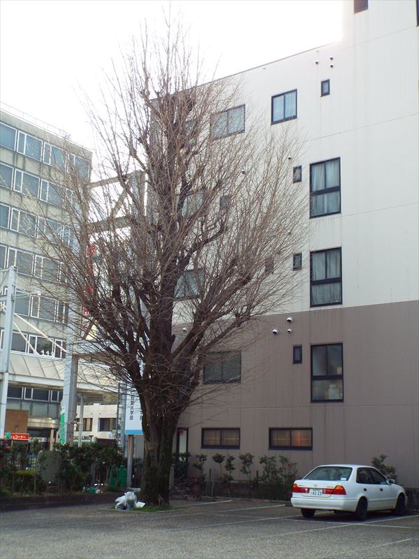 c0108198_16243054.jpg