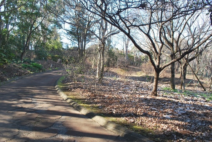 e0025300_18181971.jpg