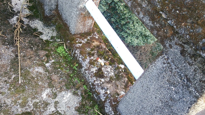 c0030607_16415255.jpg