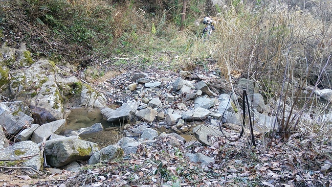 c0030607_1643035.jpg