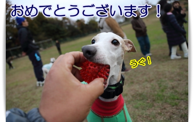 e0100007_7511180.jpg