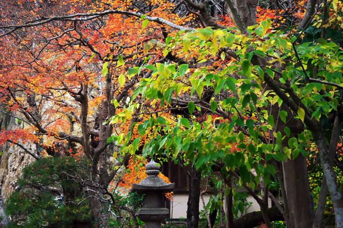 北鎌倉　浄智寺の紅葉2_a0263109_12111491.jpg