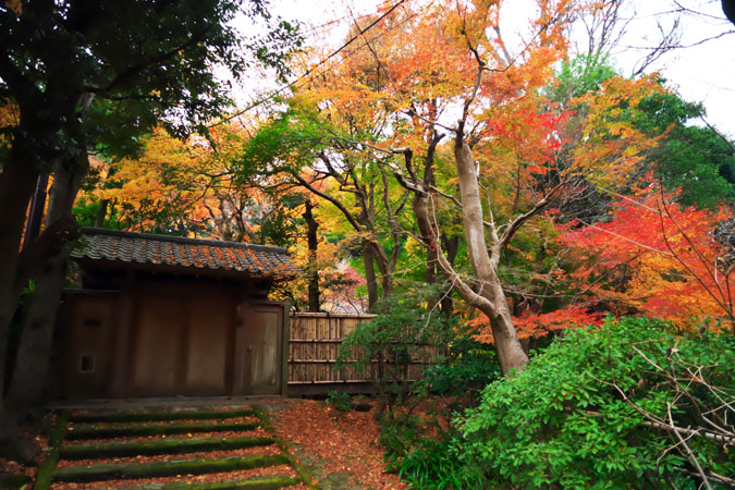 北鎌倉　浄智寺の紅葉2_a0263109_12111531.jpg