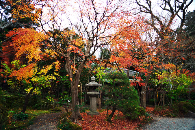 北鎌倉　浄智寺の紅葉2_a0263109_1211258.jpg