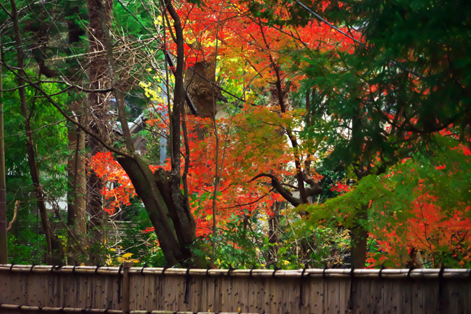 北鎌倉　浄智寺の紅葉2_a0263109_12121736.jpg