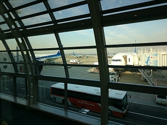 d0091909_91429.jpg