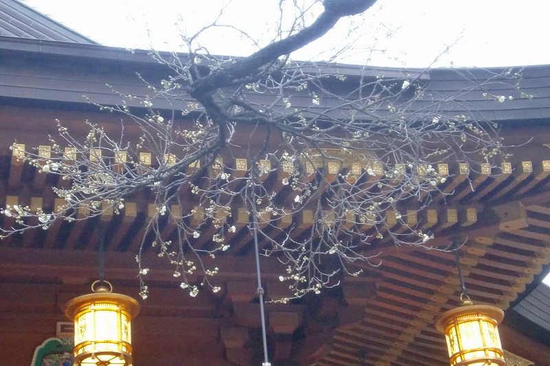 ここ数日のあれこれ_c0200917_8322630.jpg