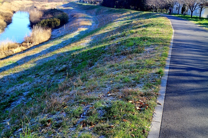 e0341417_23092424.jpg