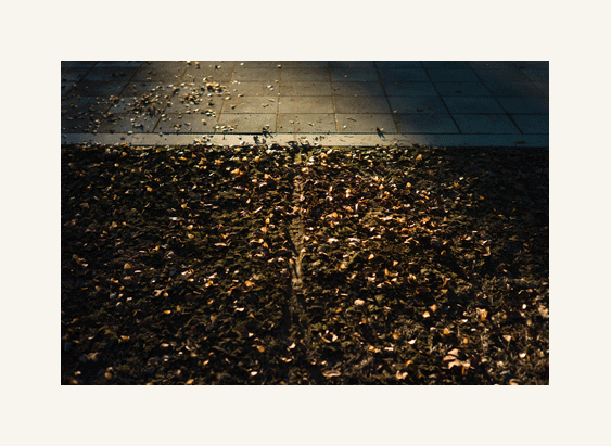 a0338823_20163577.gif