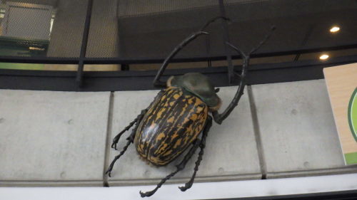 c0337631_01005107.jpg
