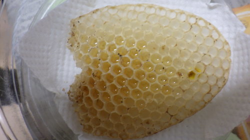 c0337631_01014699.jpg