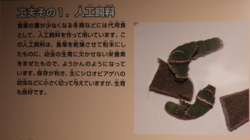 c0337631_01461142.jpg
