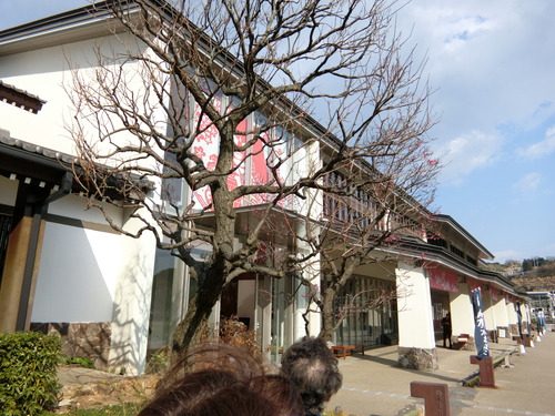 冬の花火と箱根神社_b0120541_021166.jpg