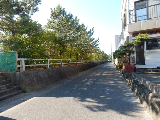 ’16,1,9(土)散歩と猫と百人一首!_f0060461_19504884.jpg