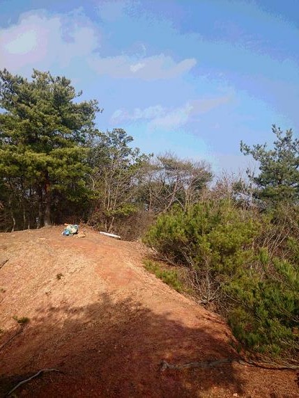 c0260463_162158.jpg