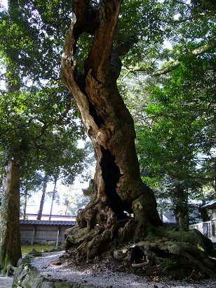 f0223565_14786.jpg