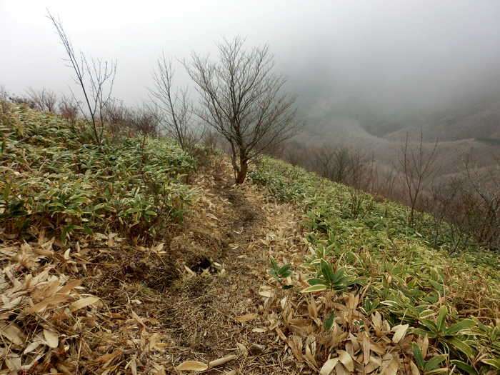 No426　岡山・角ケ仙は階段ケ仙_b0185573_19442130.jpg