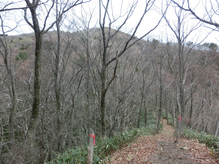 b0185573_20214480.jpg