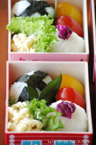 今日の唐揚げ弁当_d0327373_11290780.jpg