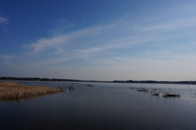 a0113874_2110582.jpg