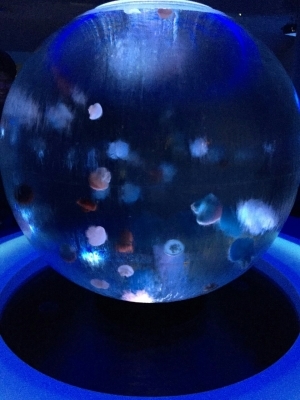 e0265874_13390437.jpg