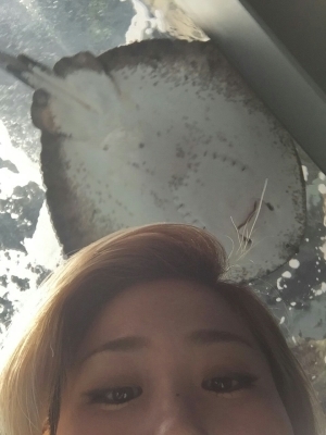 e0265874_13390999.jpg