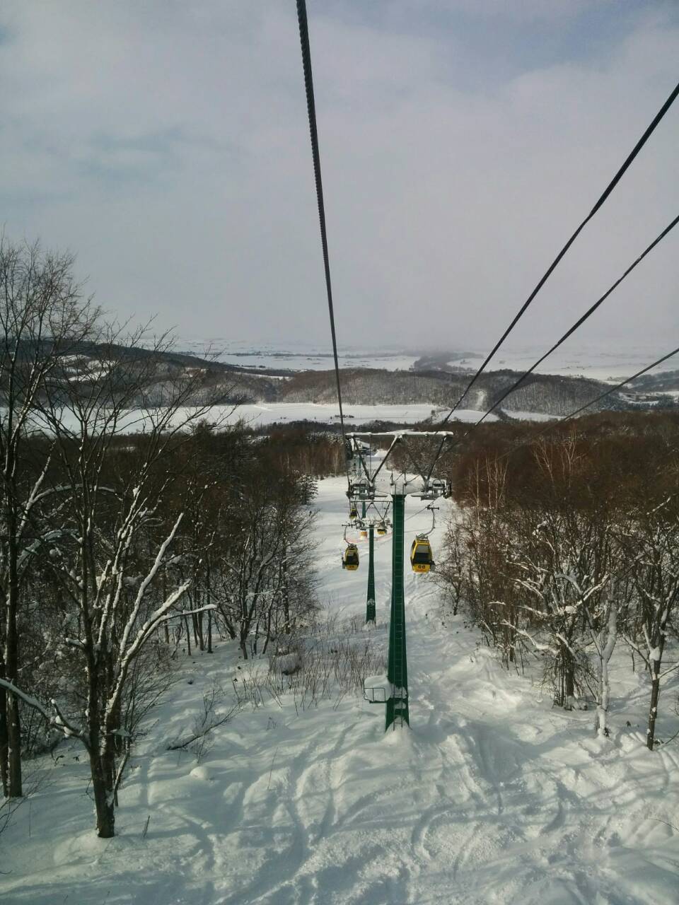 f0130376_17562164.jpg