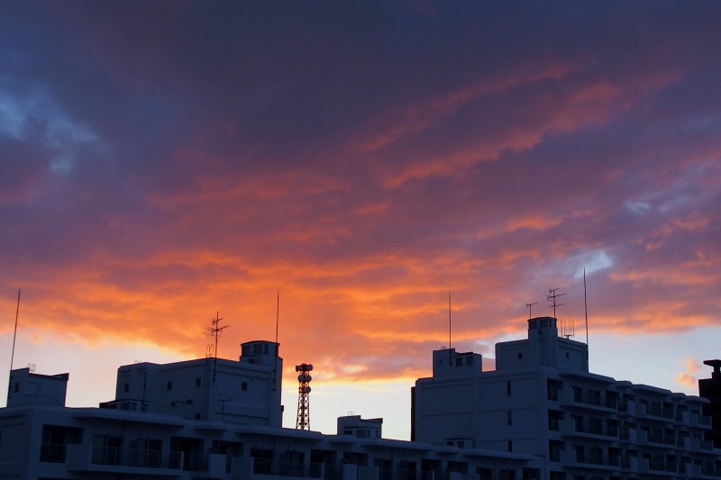 c0183777_2004815.jpg